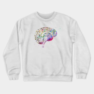 Brain anatomy Crewneck Sweatshirt